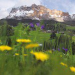 Naturpark Puez-Geisler: Kampil - Kreuzkofeljoch - Gömajoch - Kampill